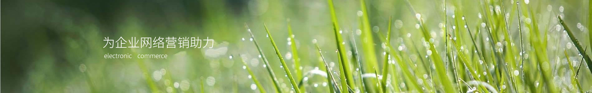 ݸкҾ޹˾